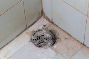 Main Causes of Clogged Bathroom Drains