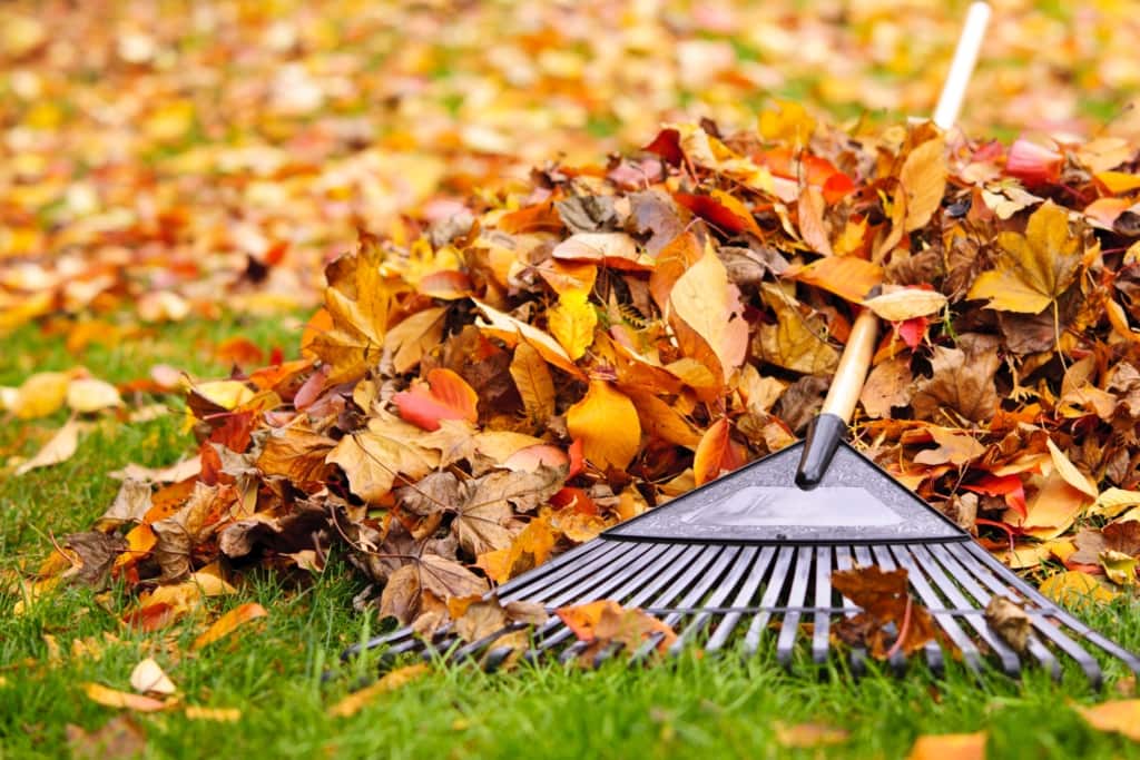 Top Tips To Care For Your HVAC Unit This Fall