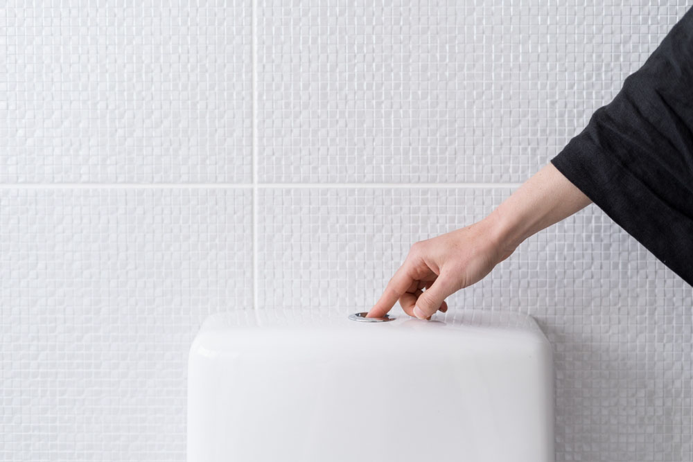 man (or woman) flushing a toilet in Elk River, MN